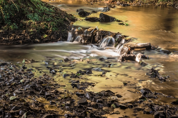 Landscape sea coast water Photo