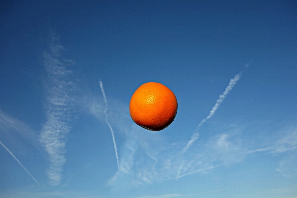 空 フルーツ 甘い 日光 写真