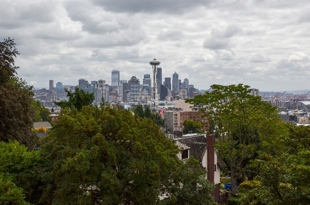 Tree skyline cloudy flower Photo