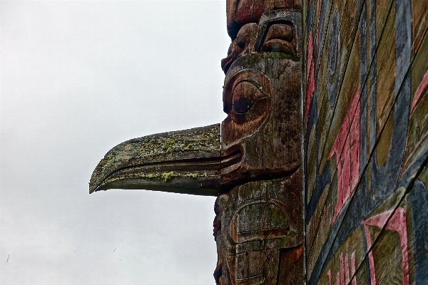 Photo Arbre oiseau bois monument