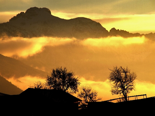 Tree nature horizon mountain Photo