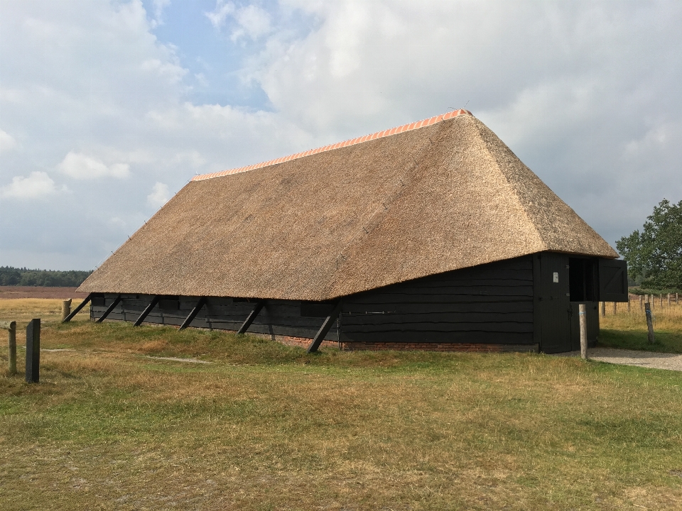 Nature farm countryside roof