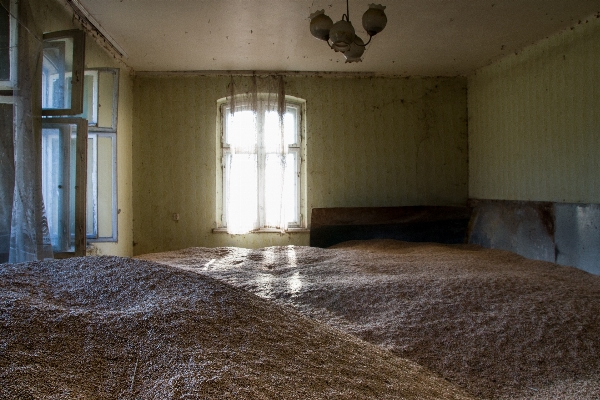 Light wood house floor Photo