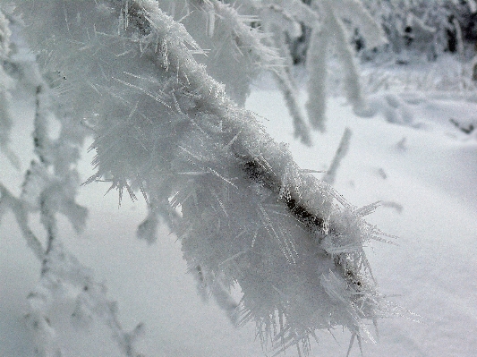 Photo Nature bifurquer neige froid