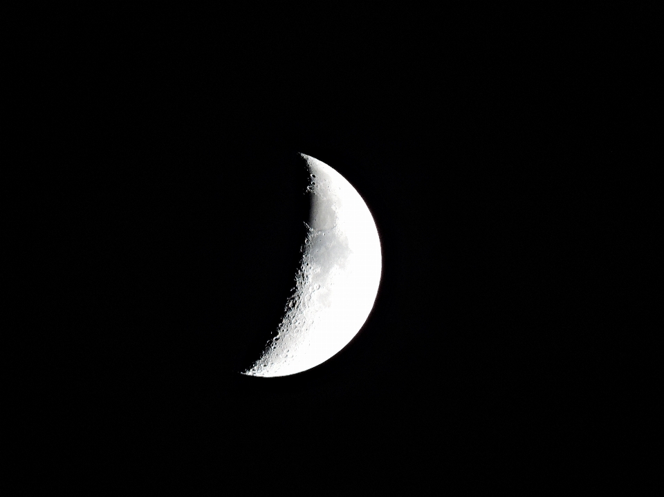 Aile noir et blanc
 cosmos
 symbole