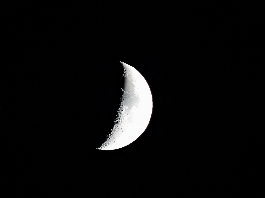 Photo Aile noir et blanc
 cosmos
 symbole