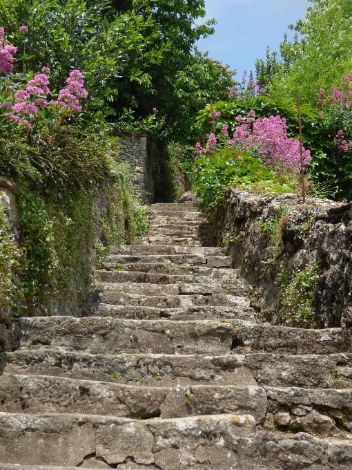 Rock blume wand treppe
