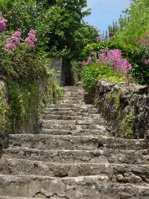 Rock flower wall staircase Photo