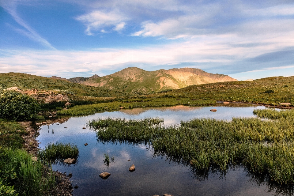 Paisaje árbol agua naturaleza