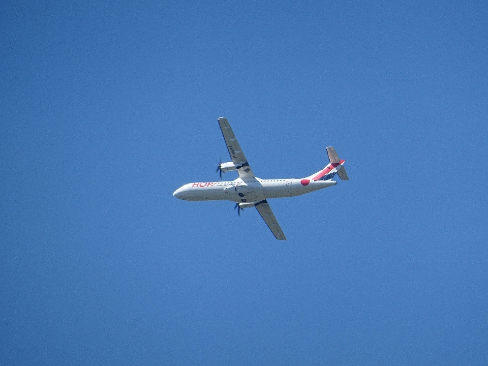 Ala cielo tecnología volar