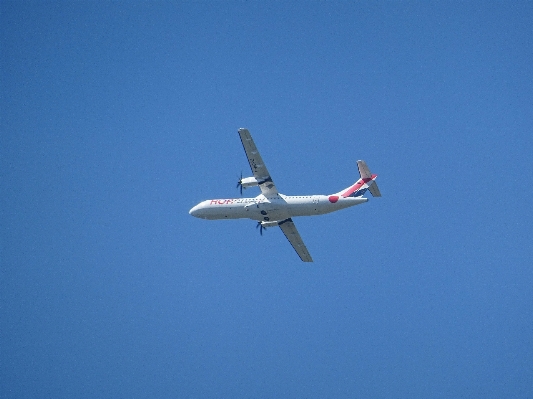 Wing sky technology fly Photo