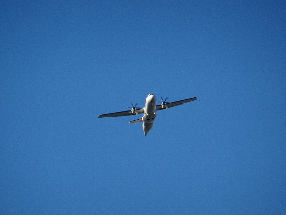 Ala cielo volar avión