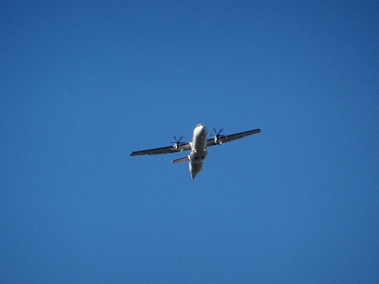 Wing sky fly airplane Photo