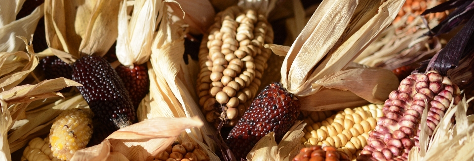 Nature decoration dish food