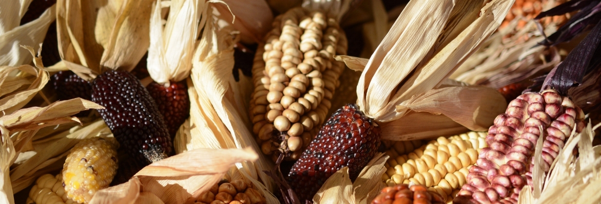 Nature decoration dish food Photo