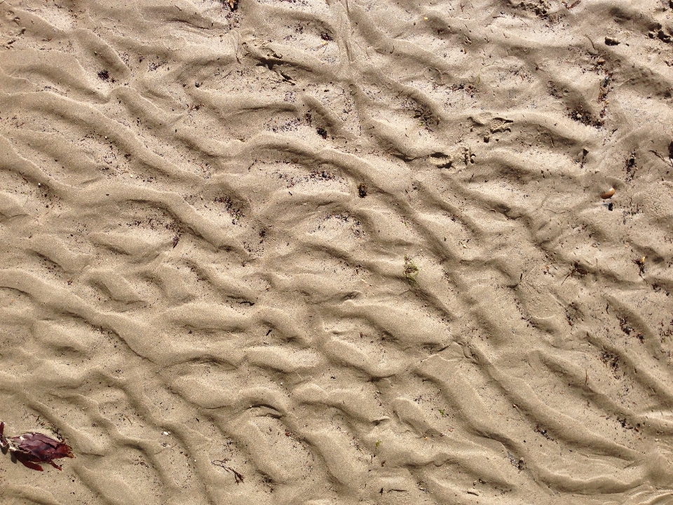 Beach sea coast sand