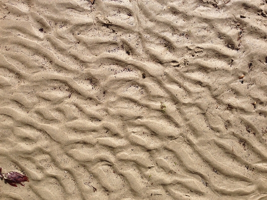 Beach sea coast sand Photo