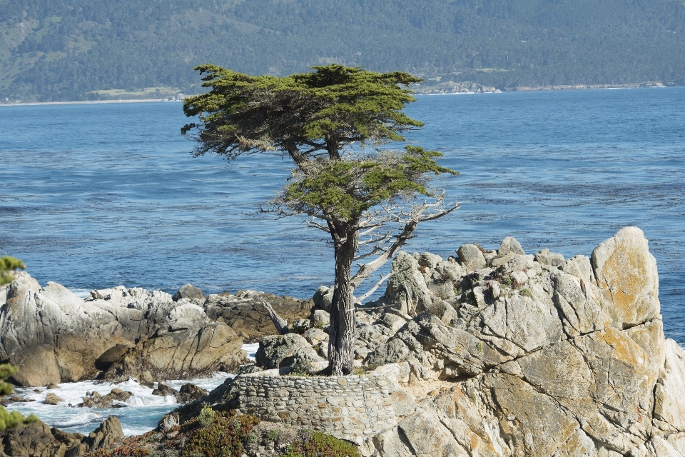 Beach landscape sea coast