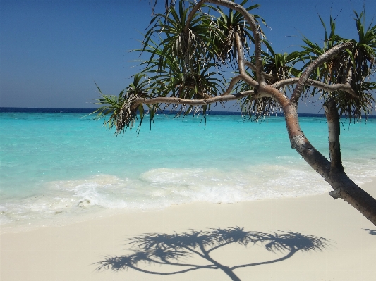 Beach sea coast sand Photo