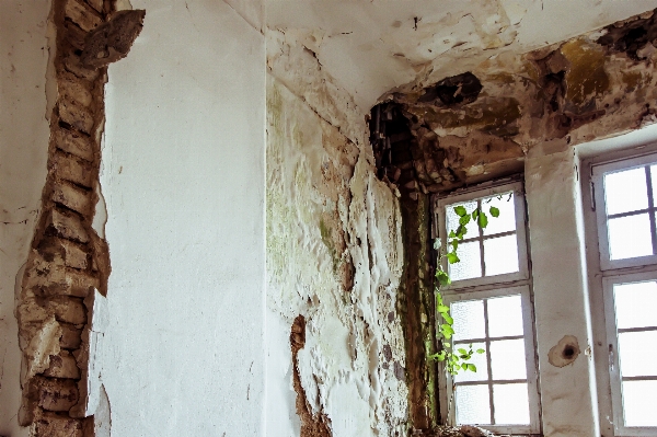 Architecture wood house window Photo