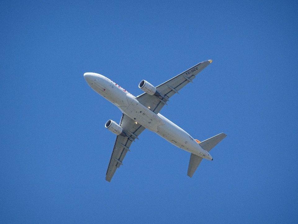 Ala cielo tecnología volar