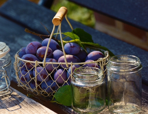 Plant grape fruit flower Photo