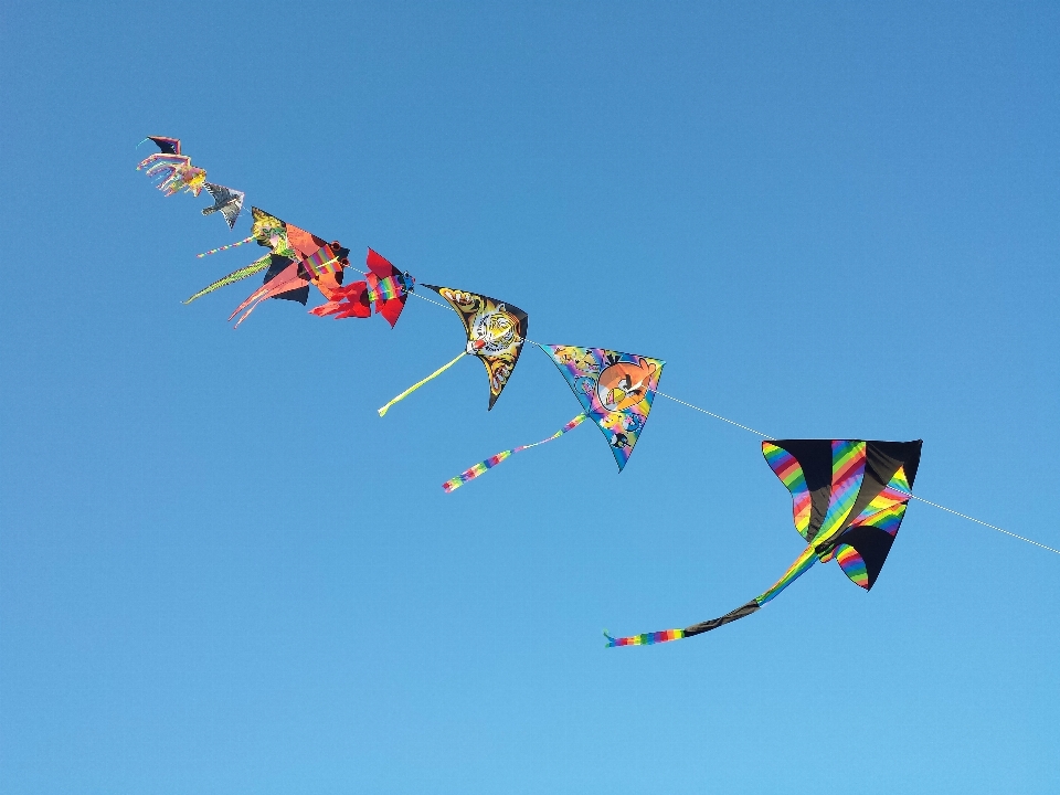 空 風 凧 フリーダム