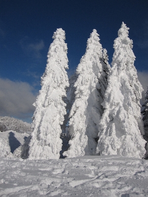 Landscape nature mountain snow Photo