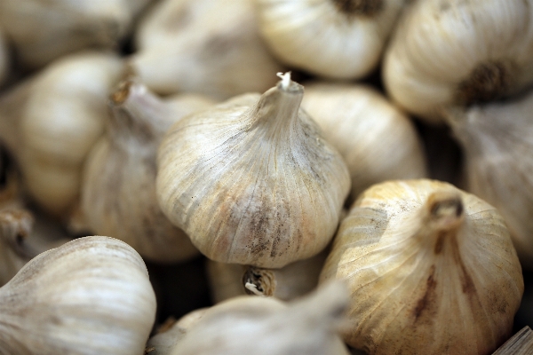 Zdjęcie Natura zakład biały żywność