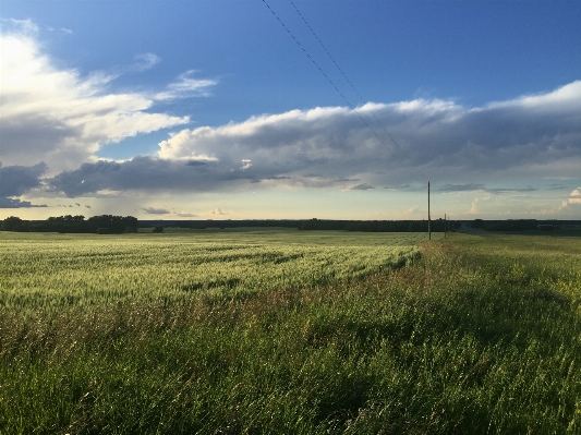 Landscape nature grass outdoor Photo