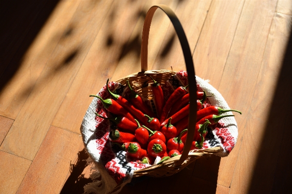 Plant flower petal food Photo