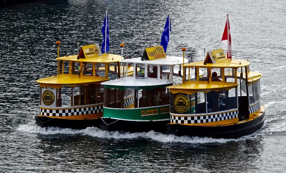 Agua grupo bote barco