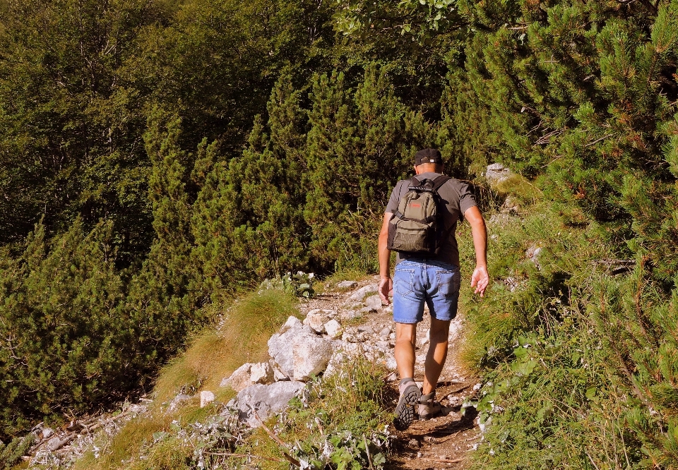 Mann wald wildnis
 gehen