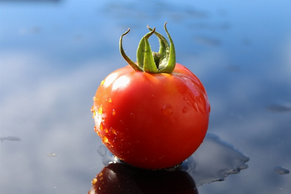 Plant fruit flower ripe Photo