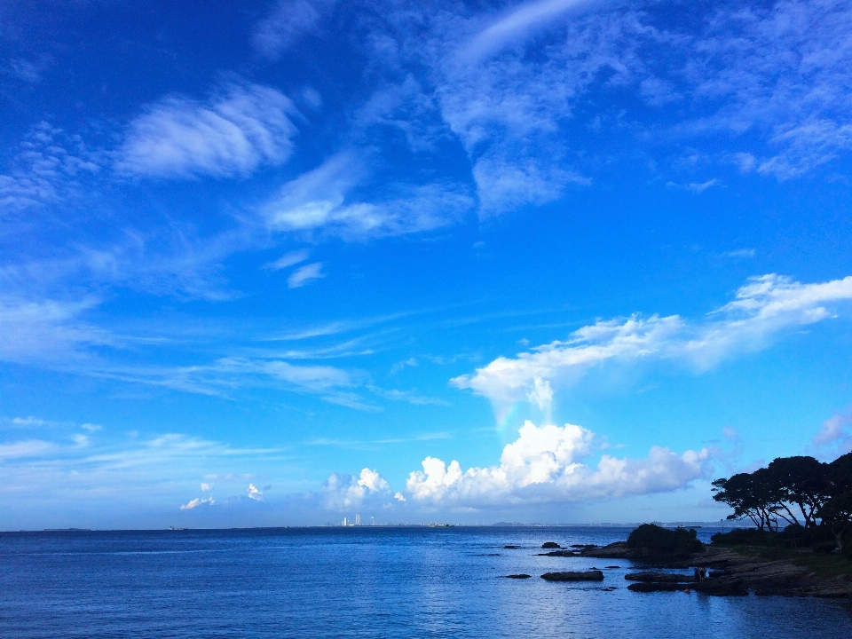 海 海岸 海洋 地平線