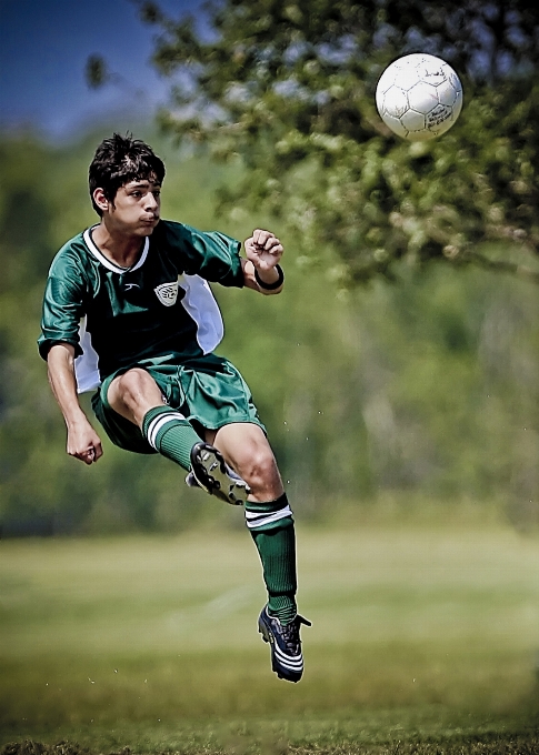 Erba sport campo gioco