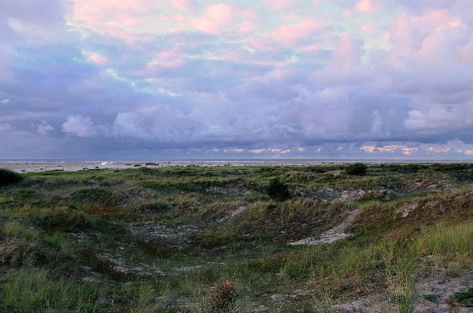 Landscape sea coast nature