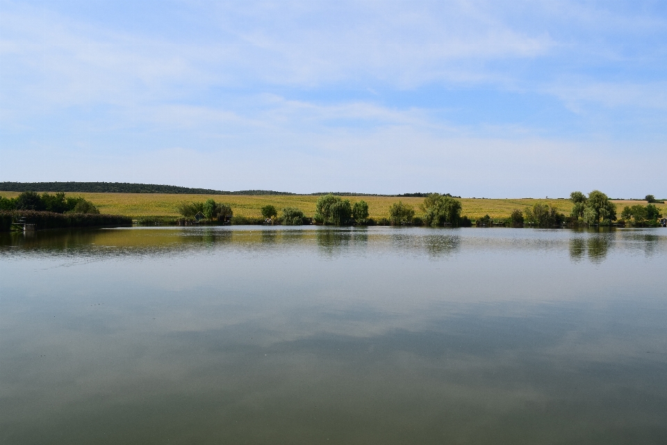 Paysage eau nature le marais
