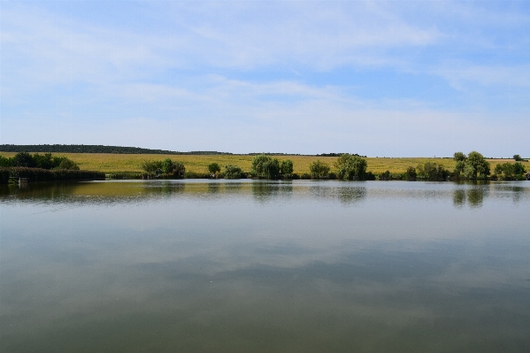 Landscape water nature marsh Photo