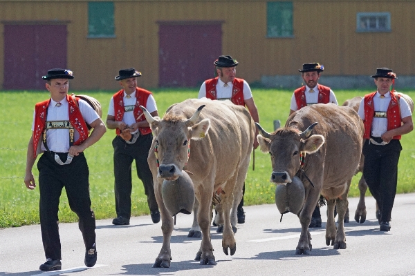 Switzerland jockey appenzell costumes Photo