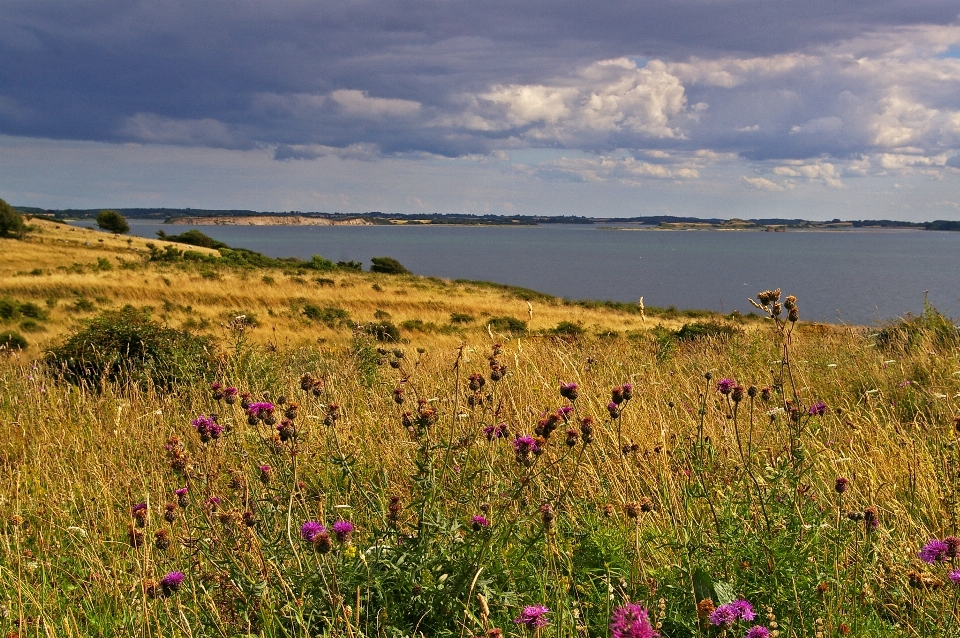 Beach landscape sea coast