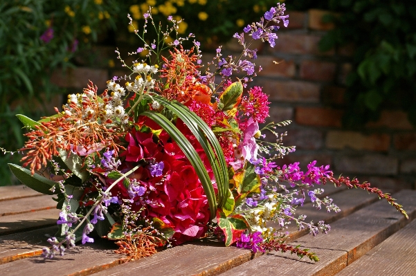 Plant flower celebration love Photo