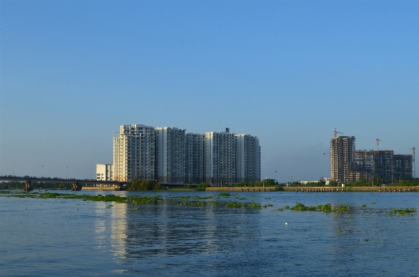 Sea coast horizon dock Photo