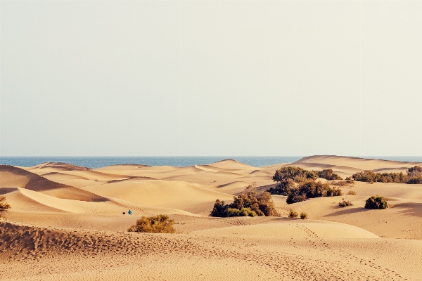 Landschaft sand wüste düne
 Foto