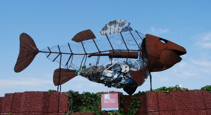 Wind aircraft vehicle dirt Photo