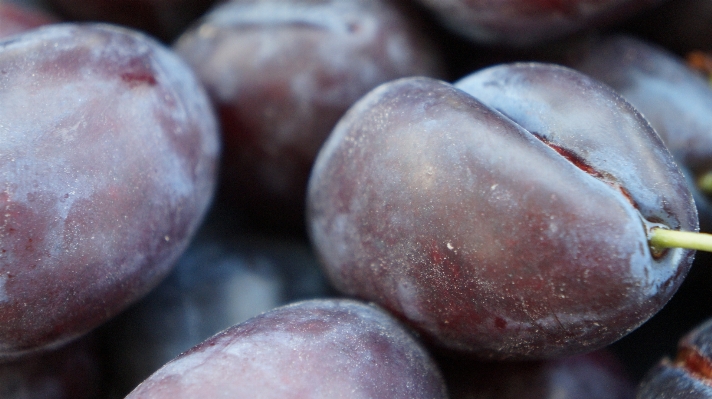 Plant fruit sweet ripe Photo