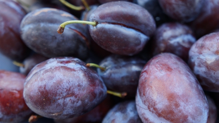 Plant fruit ripe food Photo