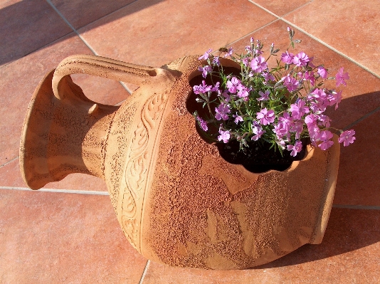 Table nature plant flower Photo