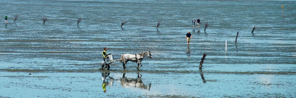 Mar costa água inverno