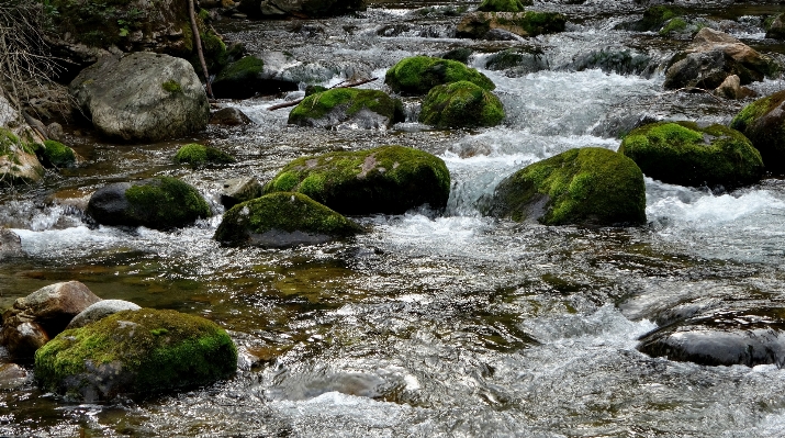 Landscape water nature rock Photo